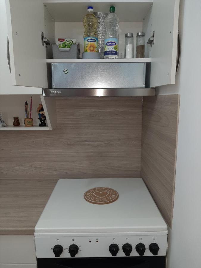 Apartman Viaggio 스렘스카 미트로비차 외부 사진